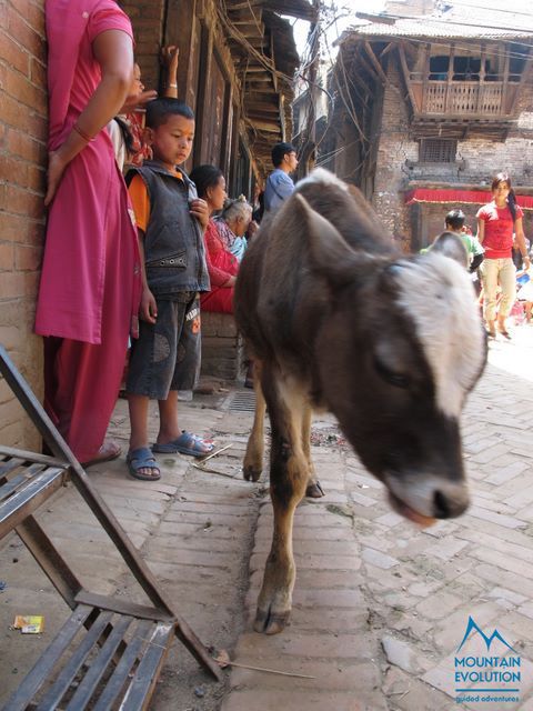 Circuito dell'Annapurna, Trekking in Nepal tra gli 8000