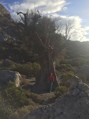 Kalymnos, Arrampicare in Grecia sull’isola delle spugne