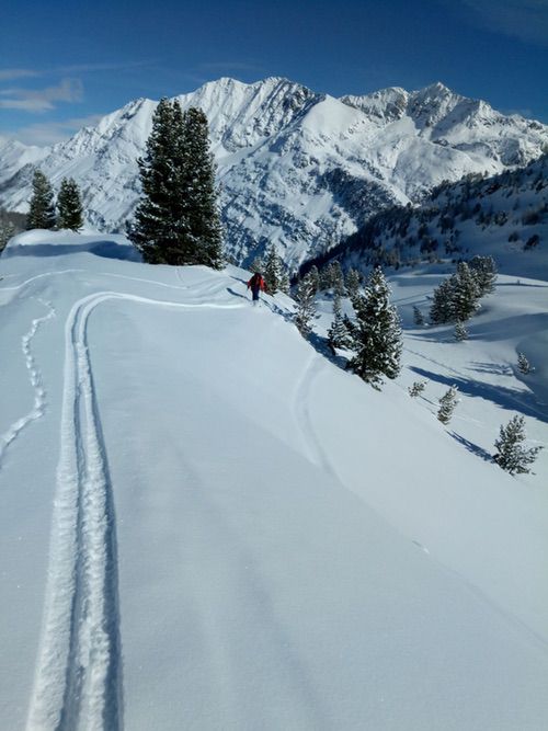 Freeride in La Thuile