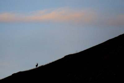 A journey in the Land of Parks - The Abruzzo