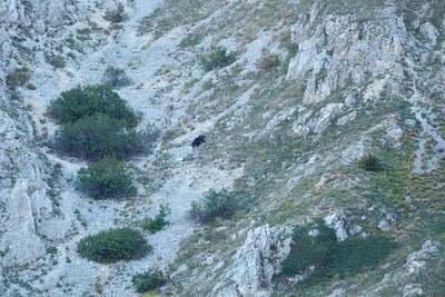 A journey in the Land of Parks - The Abruzzo