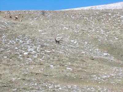 A journey in the Land of Parks - The Abruzzo