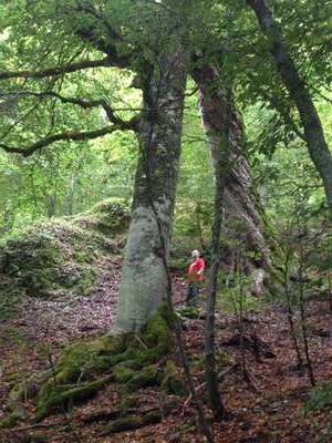 A journey in the Land of Parks - The Abruzzo