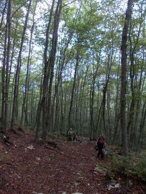 12 giorni in Abruzzo tra fauna, natura, storia e tradizioni