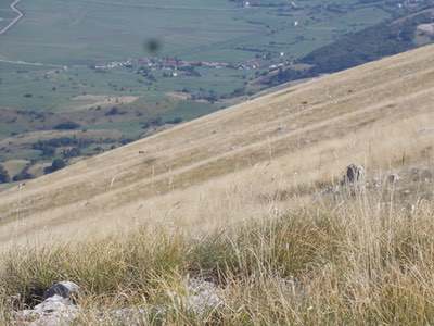 12 giorni in Abruzzo tra fauna, natura, storia e tradizioni