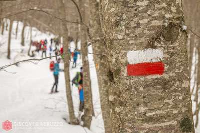 Ciaspe'n folk, in corso la seconda edizione