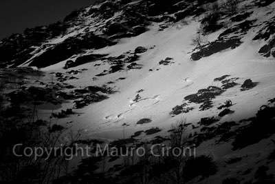 Sci Alpinismo Lofoten, tra fiordi e aurore boreali