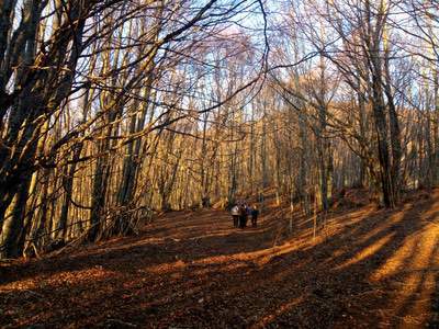 Campotosto in questo pazzo inverno