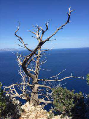 Trekking Selvaggio Blu, fantastica Sardegna