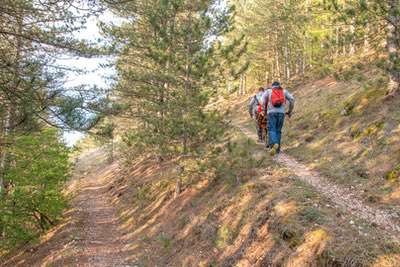 Con la Joelette la montagna è per tutti