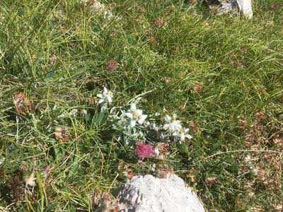 Salita al Monte Camicia sul massiccio del Gran Sasso