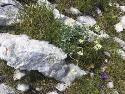 Salita al Monte Camicia sul massiccio del Gran Sasso