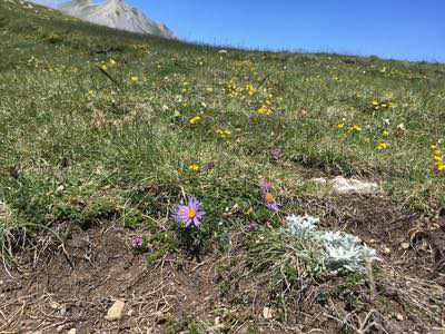 Salita al Monte Camicia sul massiccio del Gran Sasso