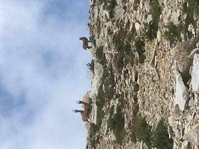 Traversata della Maiella 9-10 Agosto