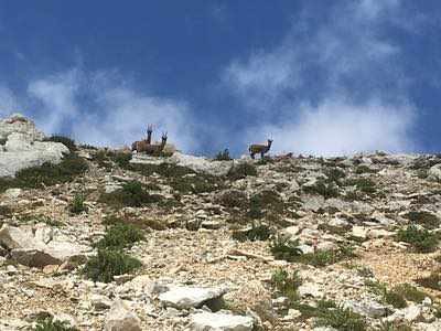 Traversata della Maiella 9-10 Agosto