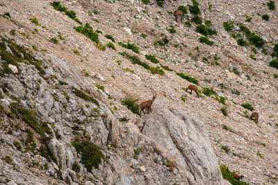 Notturna al Corno Grande - Gran Sasso