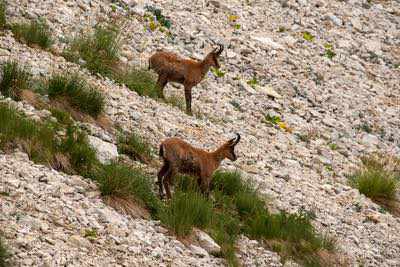 Notturna al Corno Grande - Gran Sasso