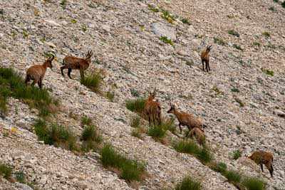 Notturna al Corno Grande - Gran Sasso