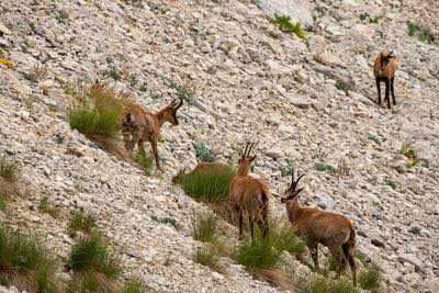 Notturna al Corno Grande - Gran Sasso