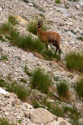 Notturna al Corno Grande - Gran Sasso