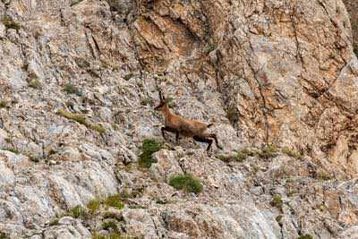 Notturna al Corno Grande - Gran Sasso