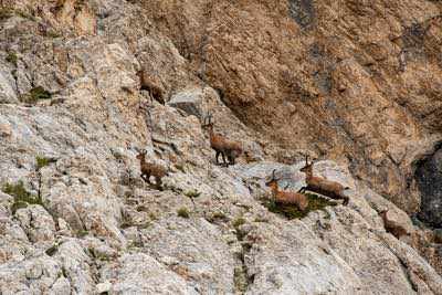 Notturna al Corno Grande - Gran Sasso