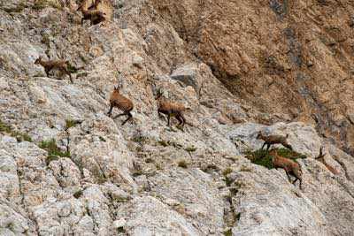 Notturna al Corno Grande - Gran Sasso