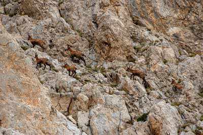 Notturna al Corno Grande - Gran Sasso