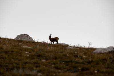 Notturna al Corno Grande - Gran Sasso