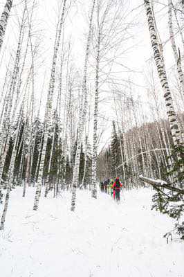 Monti Altai, alla ricerca della polvere nel grande freddo siberiano