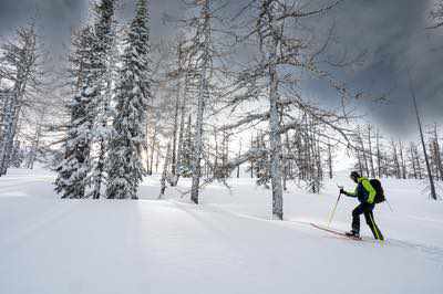 Monti Altai, alla ricerca della polvere nel grande freddo siberiano