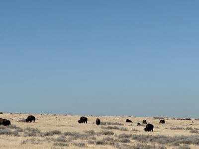Sciare nel Far West con i Cowboy