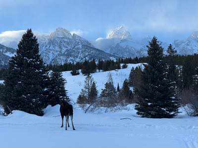 Sciare nel Far West con i Cowboy