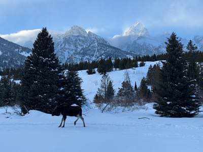 Sciare nel Far West con i Cowboy