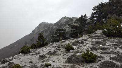 Al cospetto degli Dei del Pollino