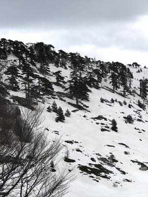 Al cospetto degli Dei del Pollino