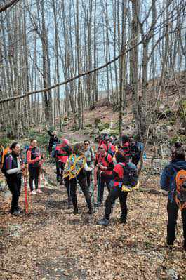 Al cospetto degli Dei del Pollino